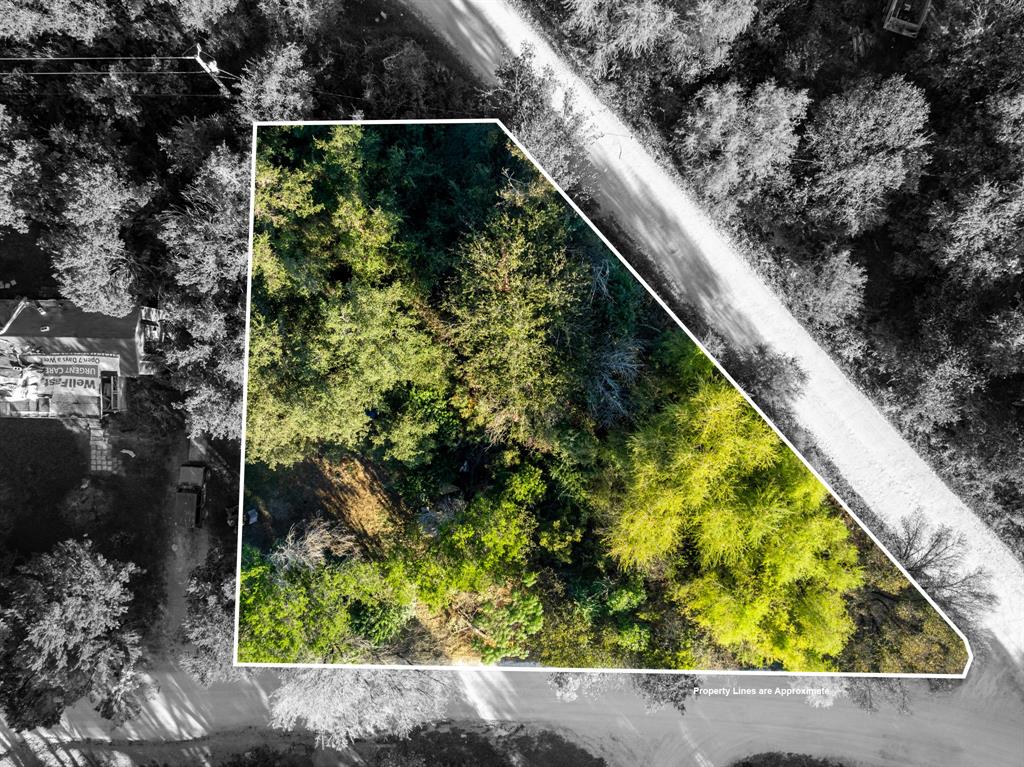 Lake Whitney Estate - Land