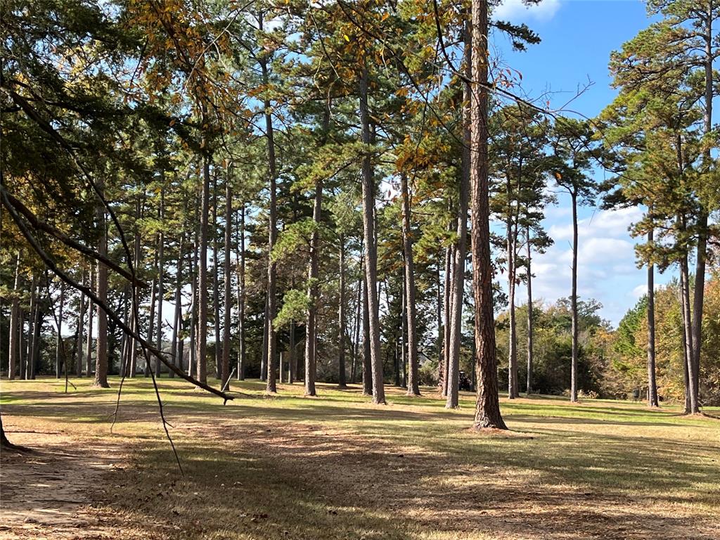 AB 22 S BUCHANAN - Residential