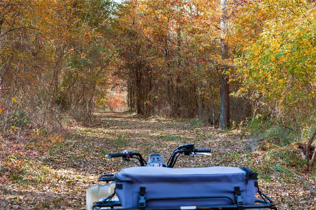 AB 22 S BUCHANAN - Residential