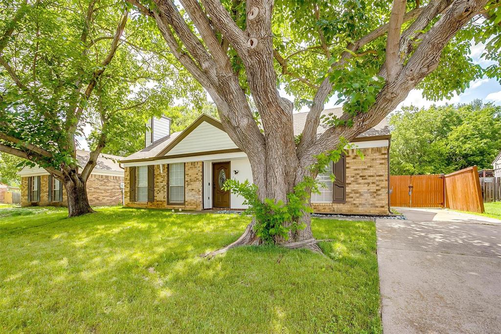 7013 Buttonwood Drive