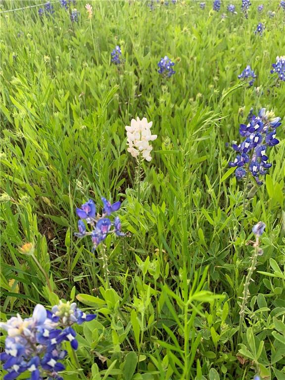 628 Wildflower