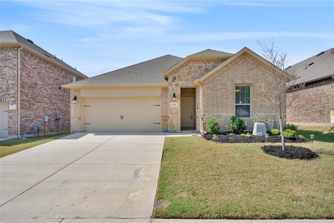 Photo of 11228 Ponderosa Trail, Aubrey, TX 76227 (MLS # 21125652)
