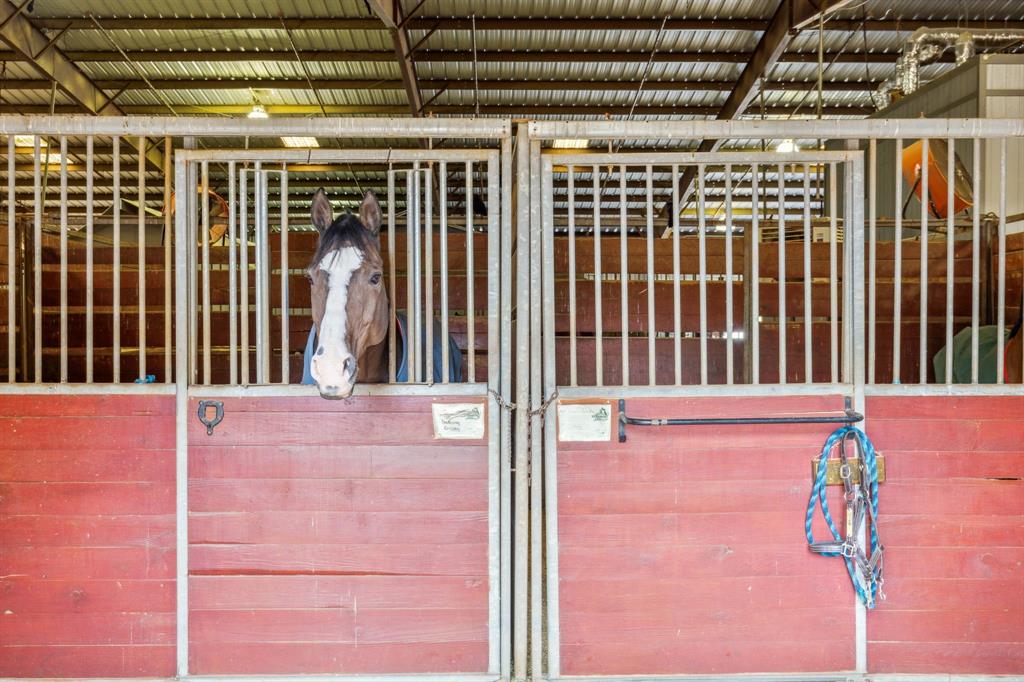 SCOTTY'S GOLF PAR - Commercial Lease