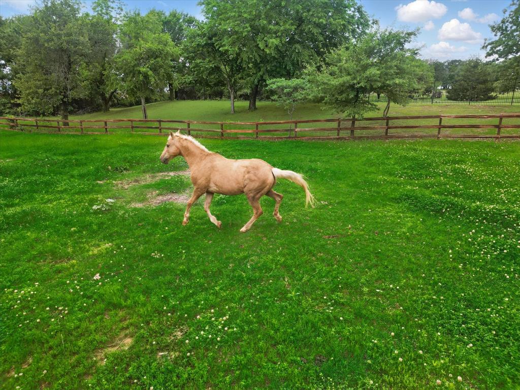 Glenview Estate - Residential