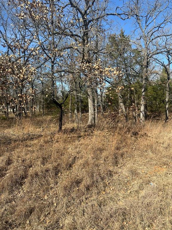 Photo 1 of 4 — 176 Oak Trail, Mabank, TX 75156