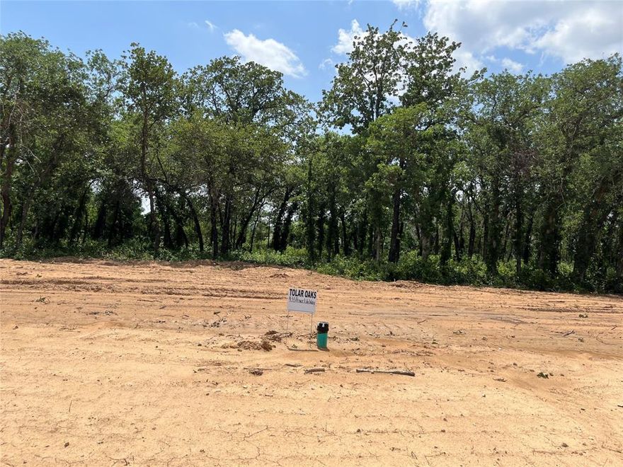 No HOA. Beautiful Treed Lots with Concrete streets and curbs. Underground utilities. City water and sewer. Tolar ISD.  Come see this great new community and choose your lot before they are all gone. If you do not have a builder we can provide one for you.