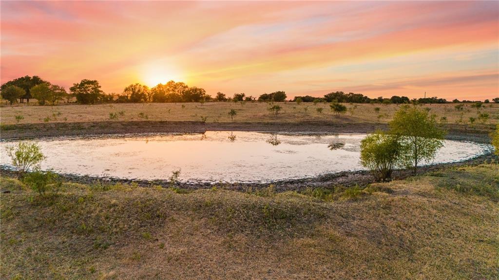 Tomas De La Vega - Land