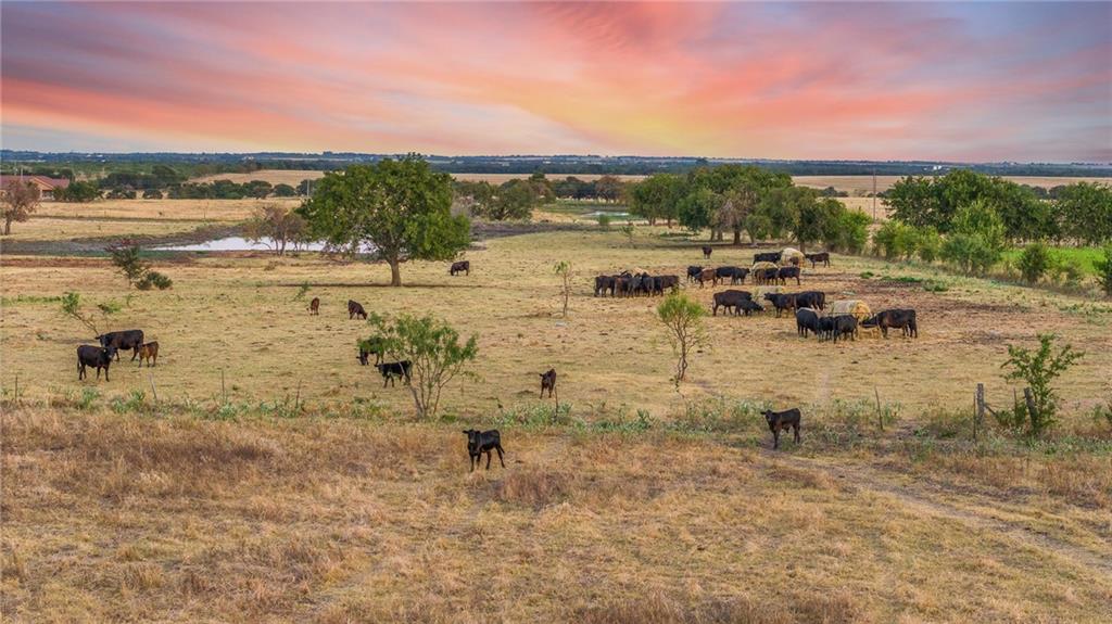 Tomas De La Vega - Land