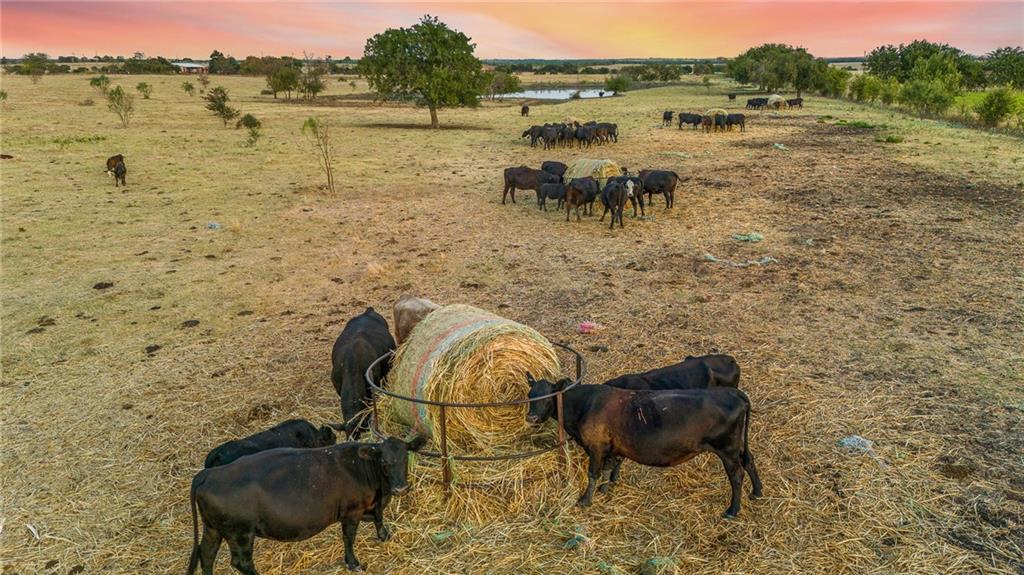 Tomas De La Vega - Land