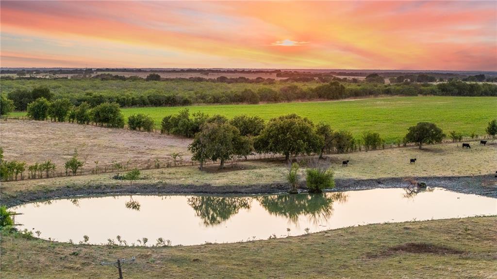 Tomas De La Vega - Land