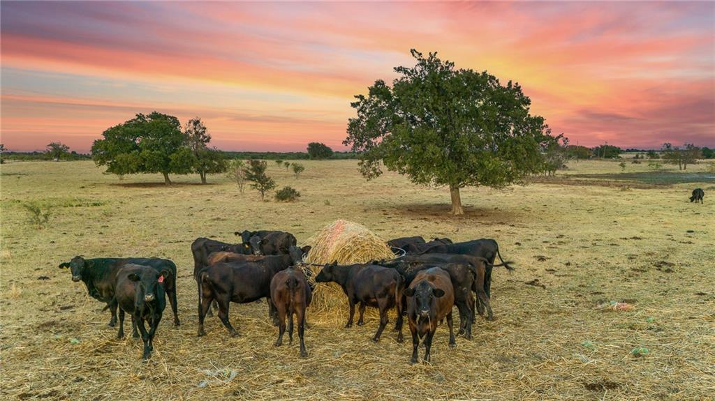 Tomas De La Vega - Land