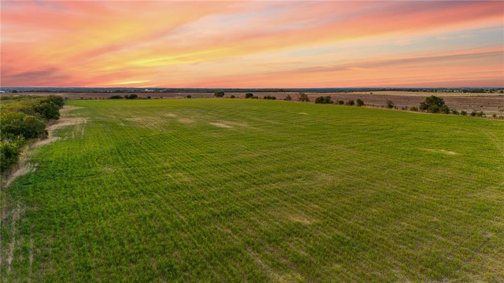 Tomas De La Vega - Land