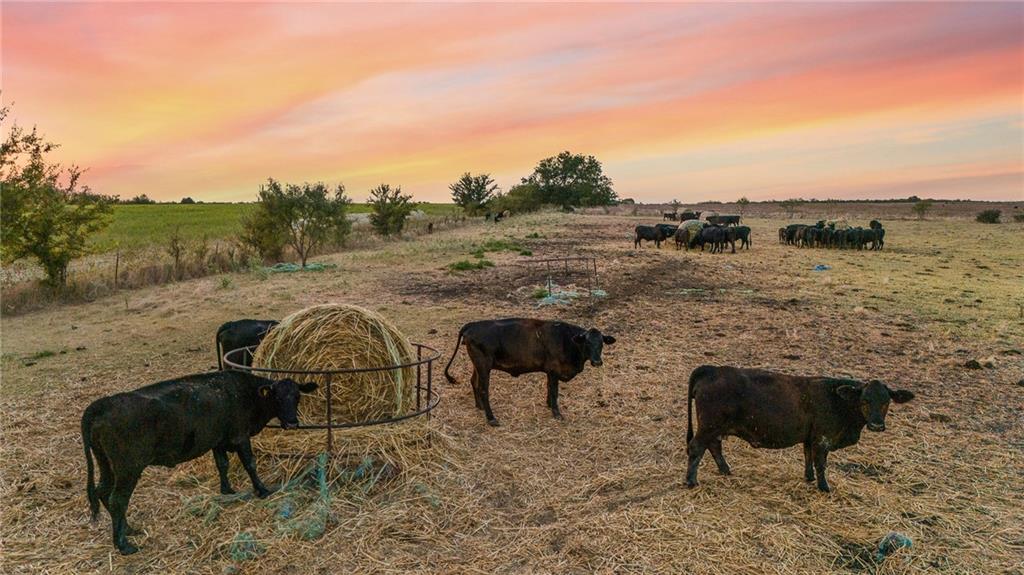 Tomas De La Vega - Land