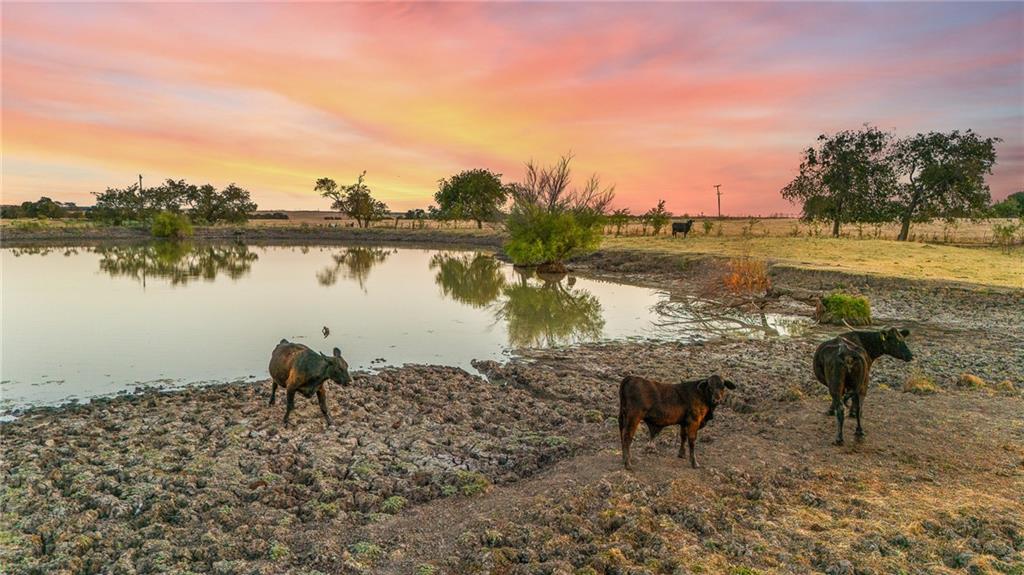 Tomas De La Vega - Land
