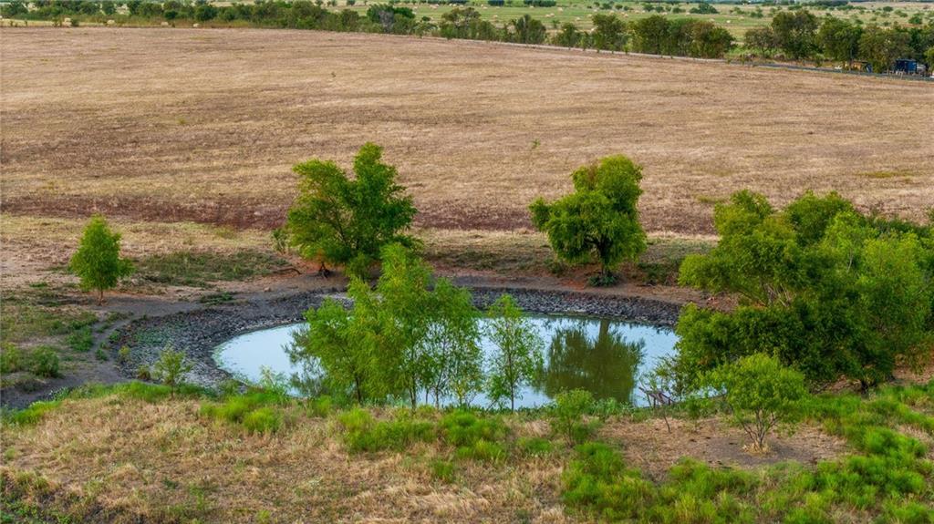 Tomas De La Vega - Land