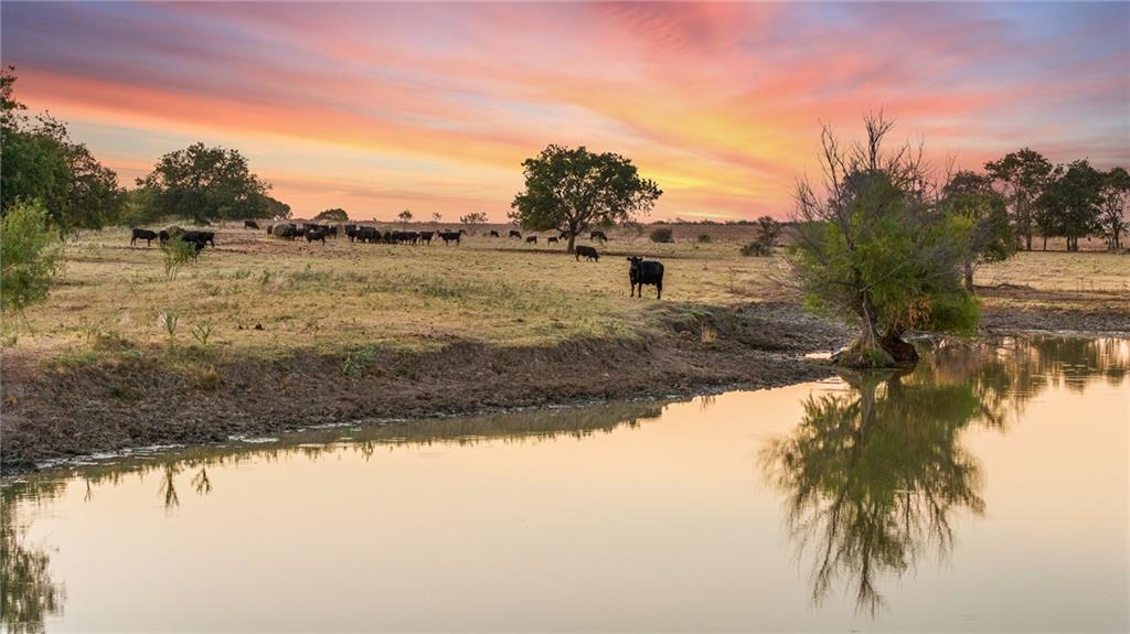 Tomas De La Vega - Land