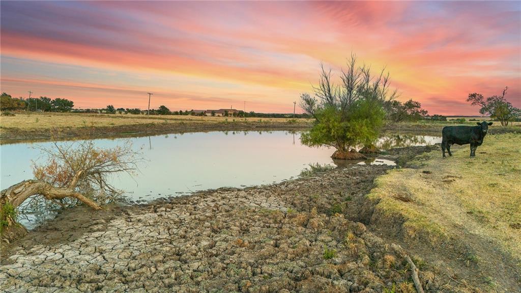 Tomas De La Vega - Land