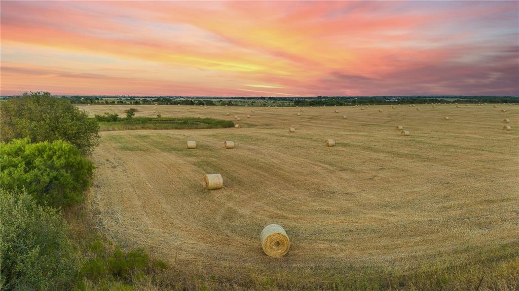 Tomas De La Vega - Land