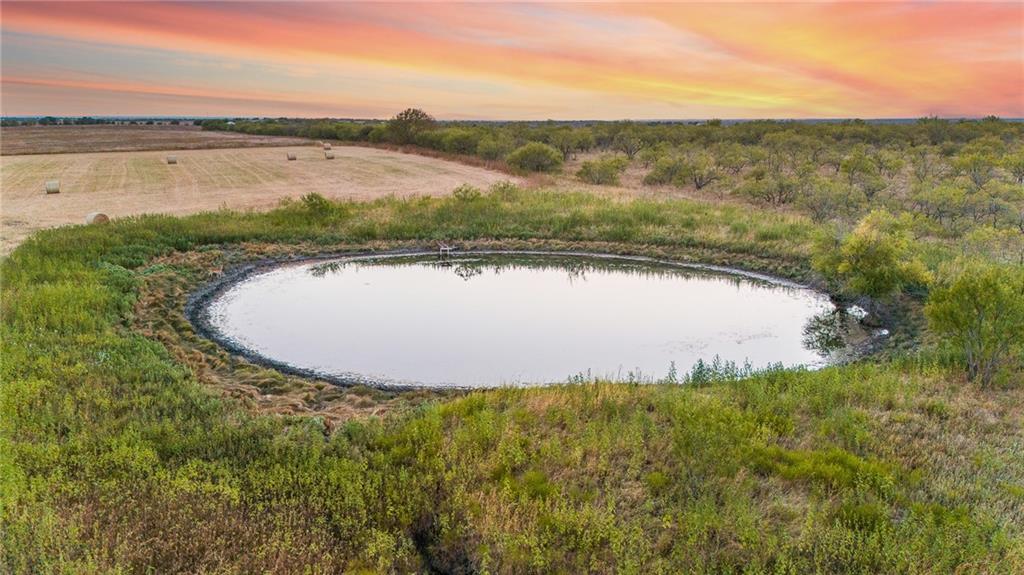 Tomas De La Vega - Land