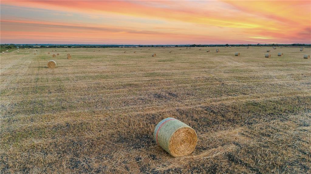 Tomas De La Vega - Land