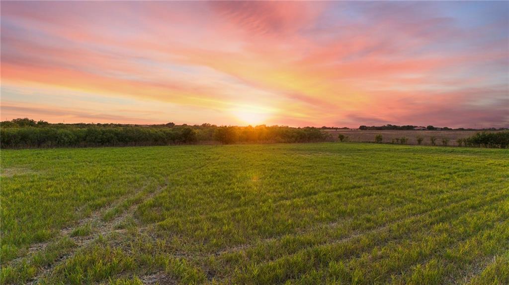 Tomas De La Vega - Land