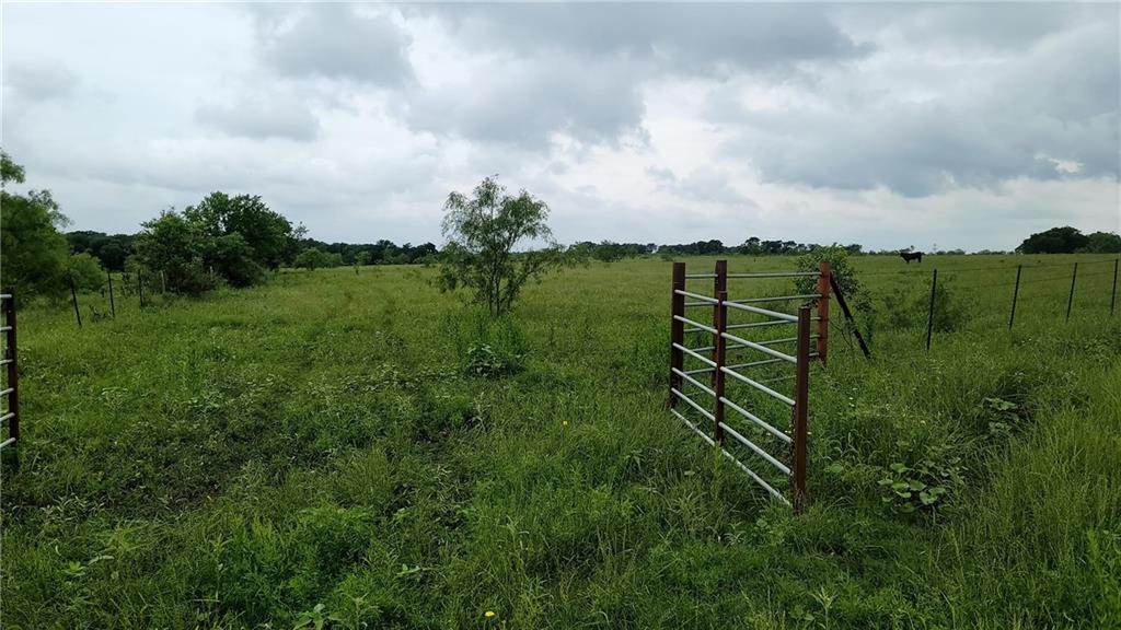 Tomas De La Vega - Land