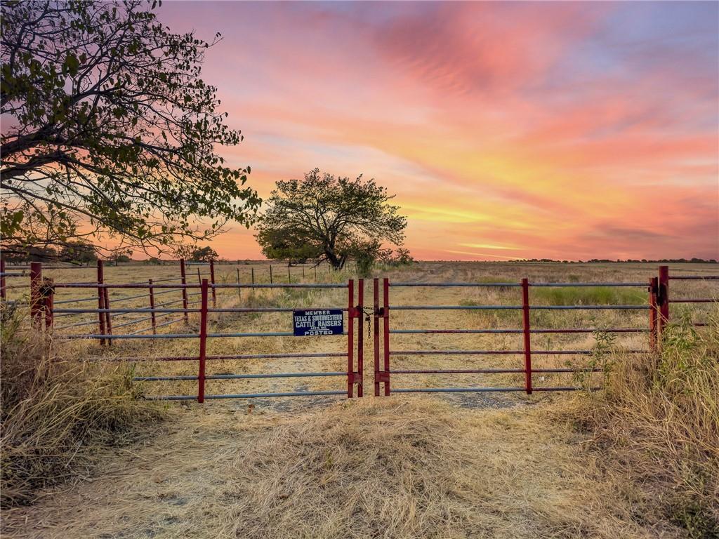 Tomas De La Vega - Land