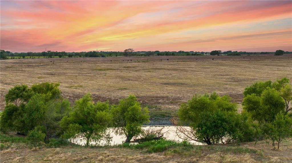 Tomas De La Vega - Land