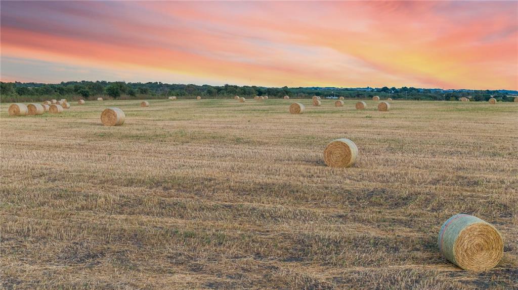 Tomas De La Vega - Land