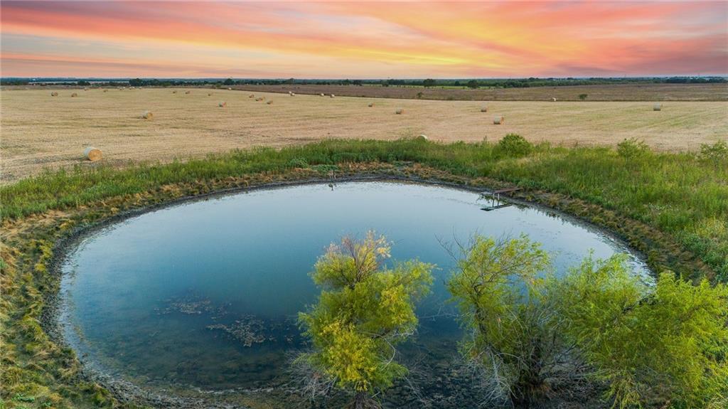 Tomas De La Vega - Land