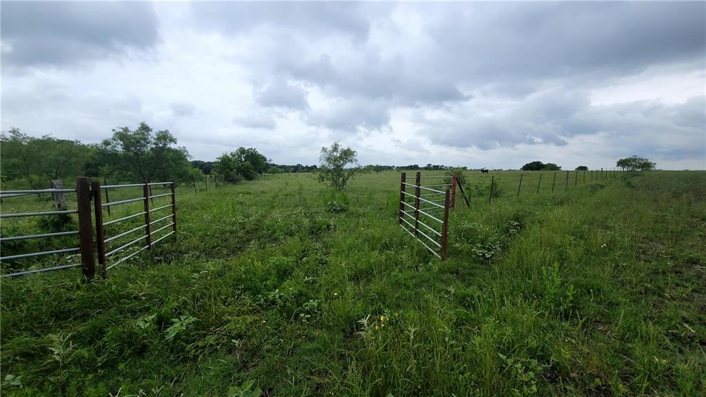 Tomas De La Vega - Land