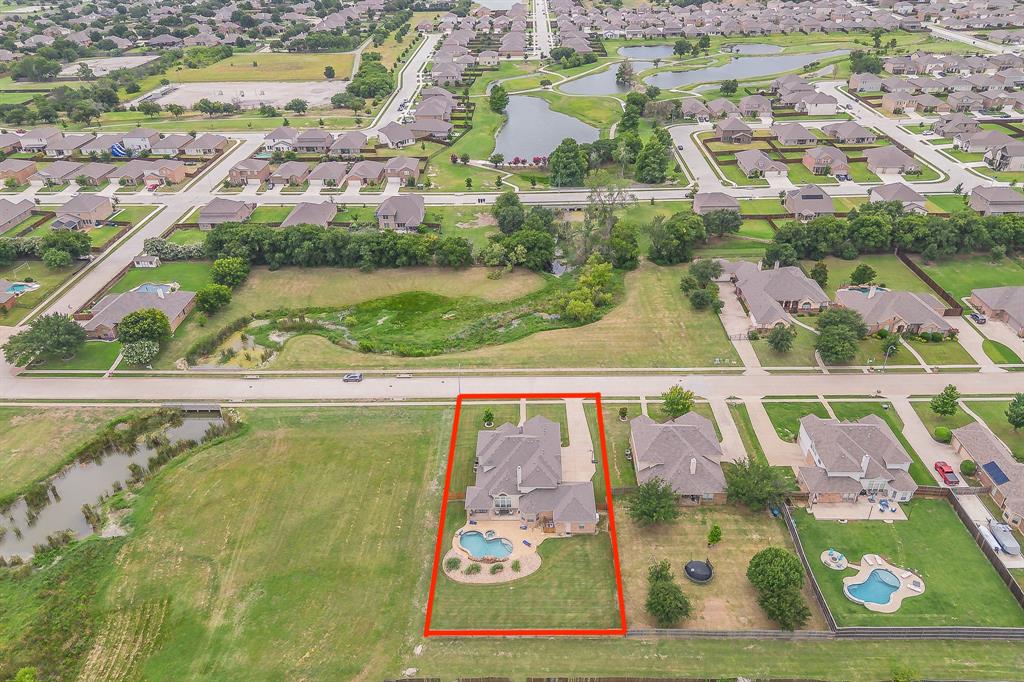 1424 Bassett Hound Drive