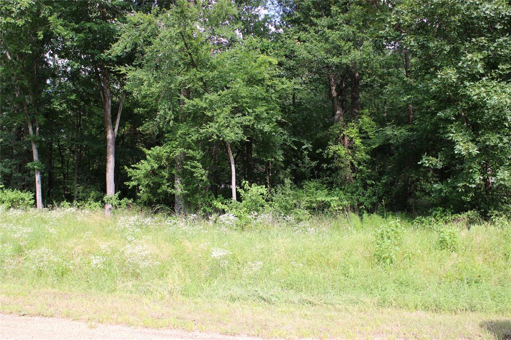 109 LAKEVIEW Trail