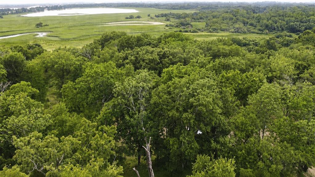 109 LAKEVIEW Trail