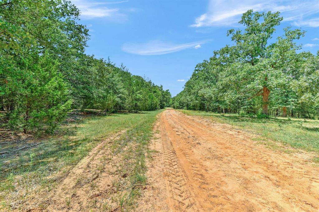 H Stewart A-1075 - Farm