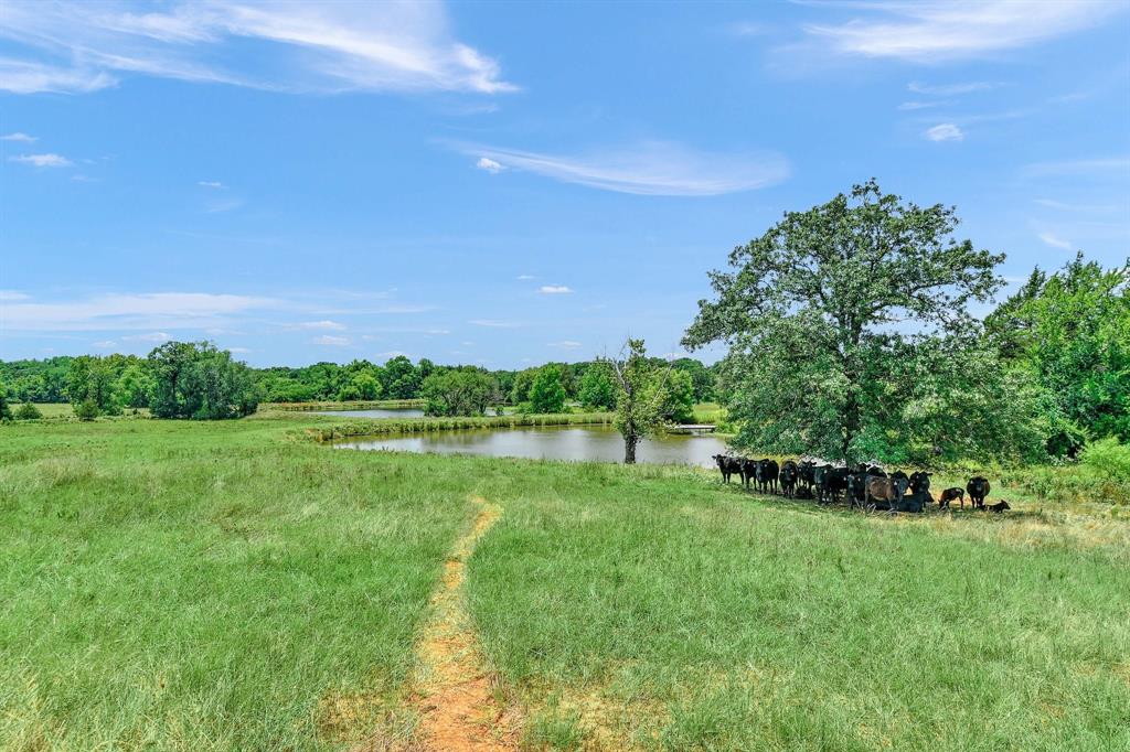 H Stewart A-1075 - Farm