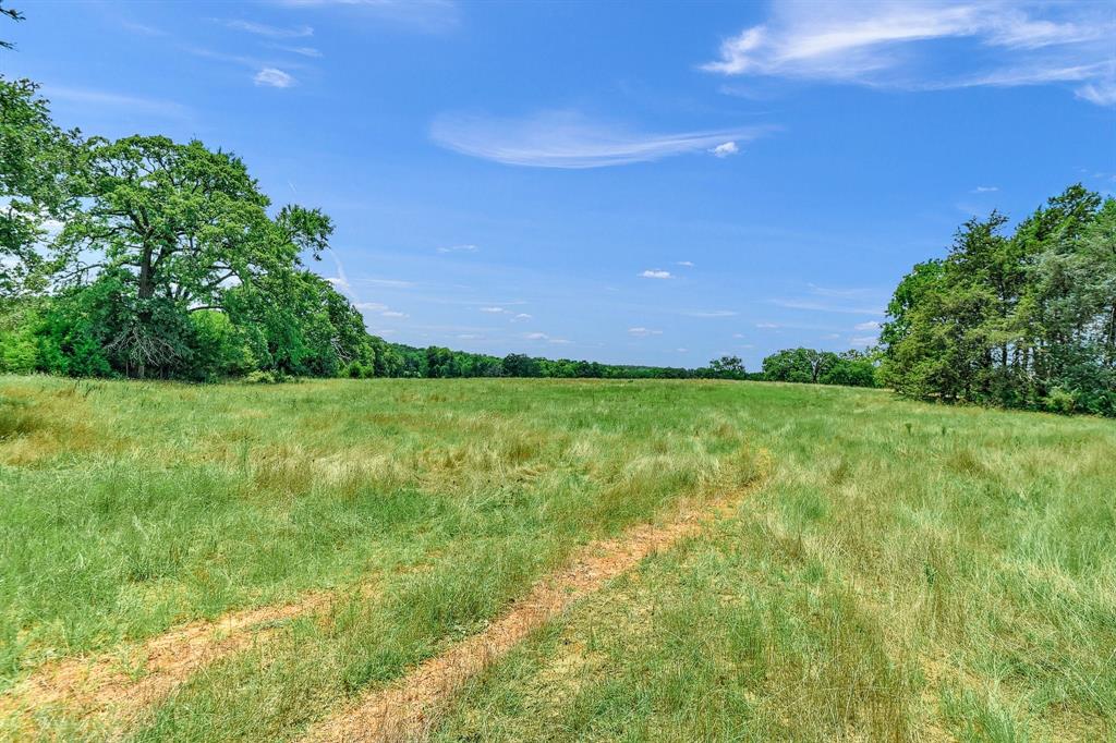 H Stewart A-1075 - Farm