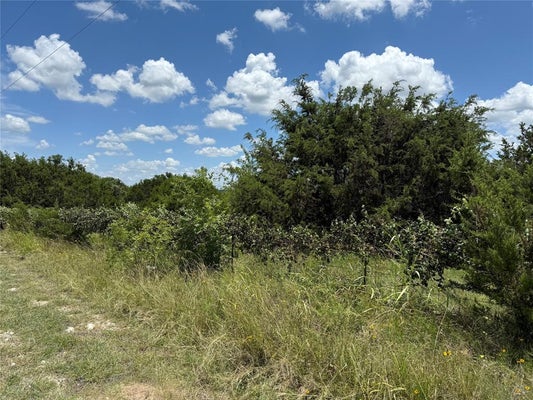 TBD PRIVATE ROAD 1743B, CLIFTON, TX 76634 - Image 9adf0960d3eb4b4cfc28539eada48d74/529371237