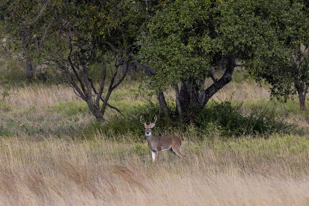 Ranches at Deer Crossing - Land