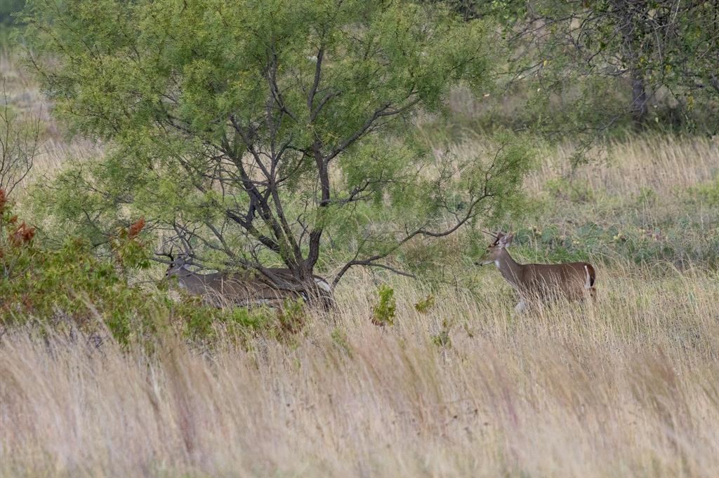 Ranches at Deer Crossing - Land