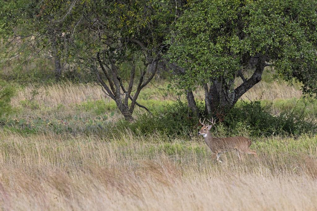 Ranches at Deer Crossing - Land