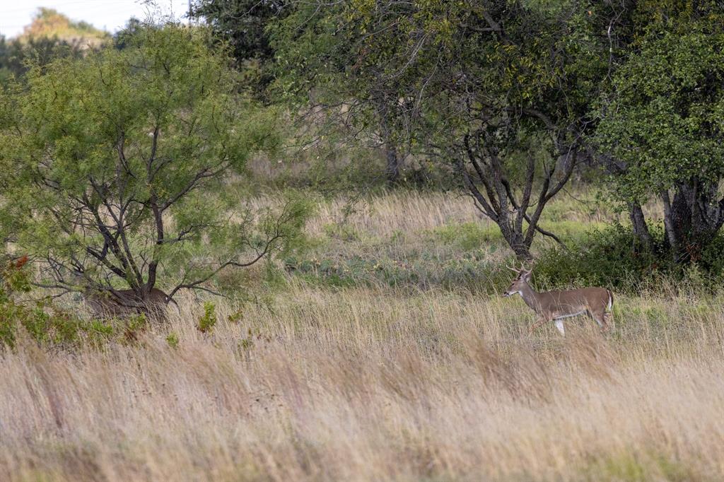 Ranches at Deer Crossing - Land
