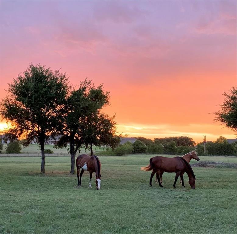 Creeks Of Aledo - Residential