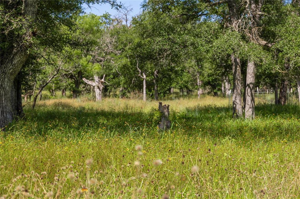 J. MORRIS ABST - Farm