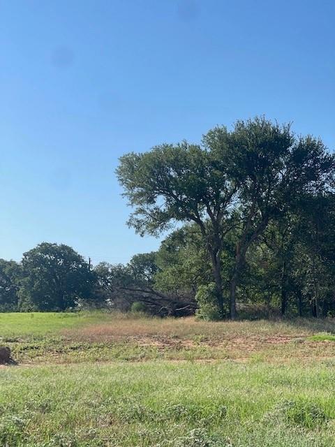 Blue Bonnet Ridge Ph - Land