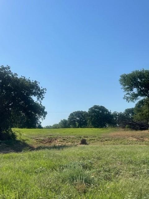 Blue Bonnet Ridge Ph - Land