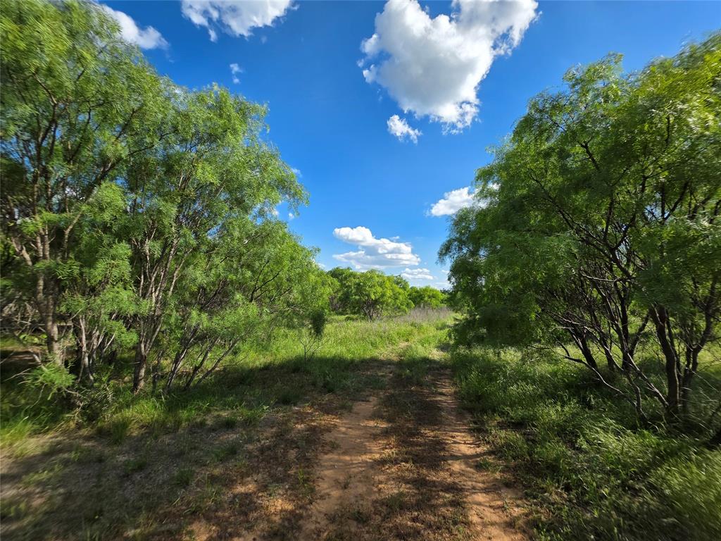 3201 County Road 612