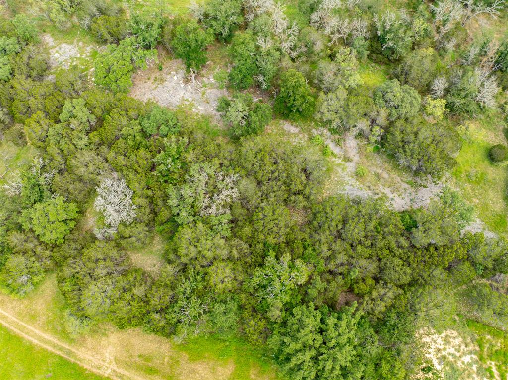 Buffalo Creek Ranch - Land