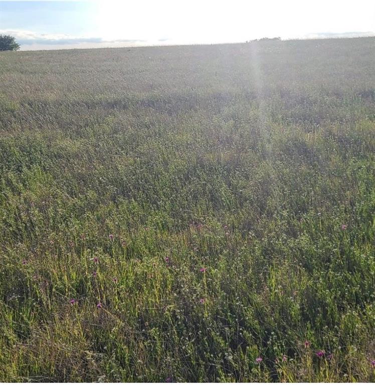 HILL CREEK RANCH - Land