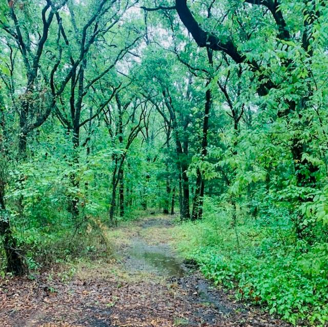 Hickory Hollow Add - Land